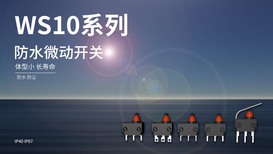 東南電子公司的微動開關(guān)產(chǎn)品主要應(yīng)用于家電行業(yè)，并逐步深入至汽車、電動工具、智能低壓電器等領(lǐng)域